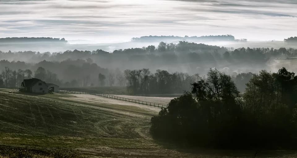 From the hills with roots in nature